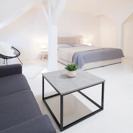 U Zlate Hvezdy Apartman Jungmann Lejlighed Litoměřice Eksteriør billede