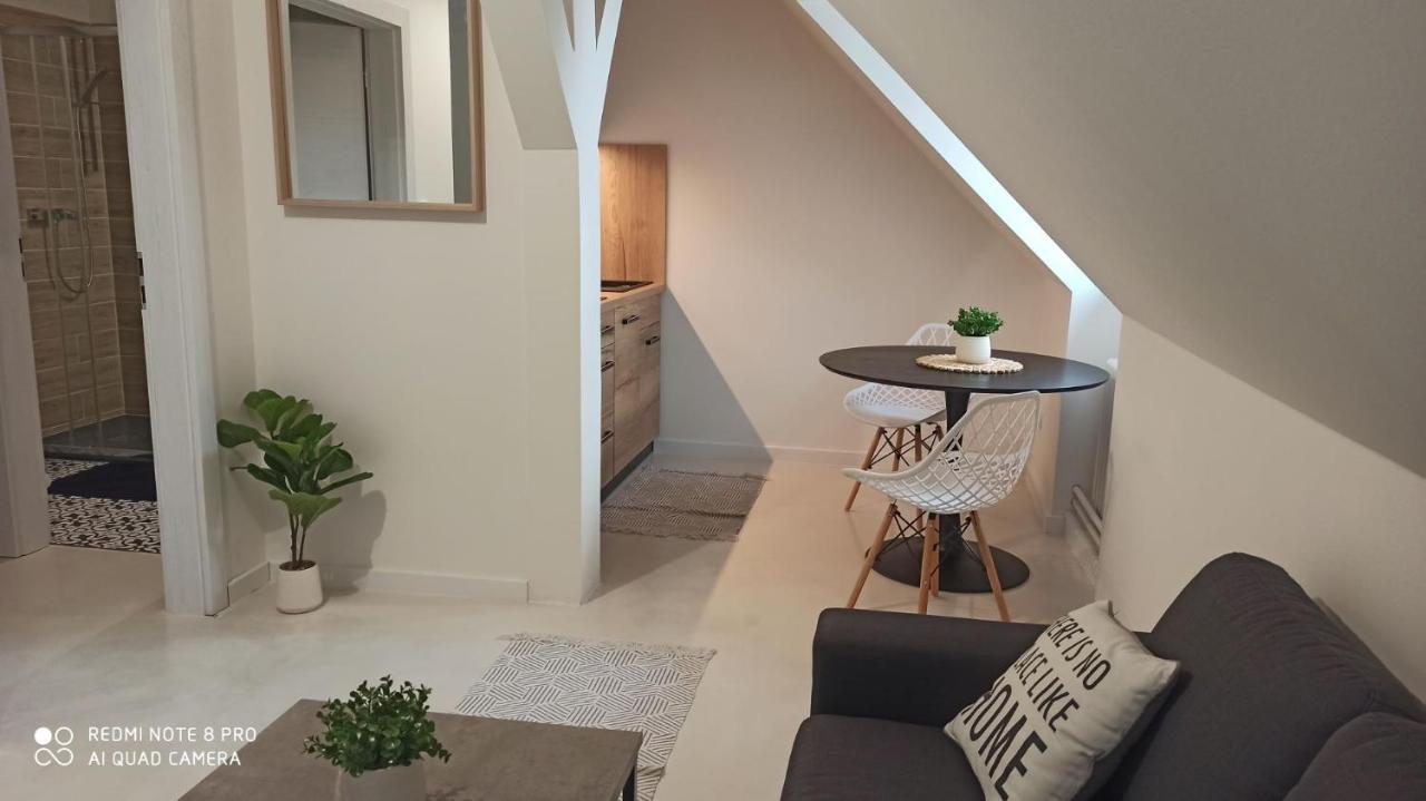 U Zlate Hvezdy Apartman Jungmann Lejlighed Litoměřice Eksteriør billede